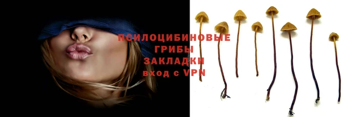 прущая мука Новокубанск