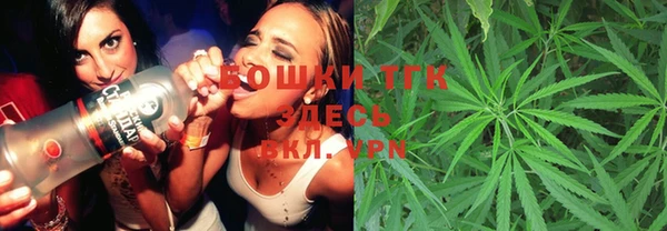 метадон Новодвинск