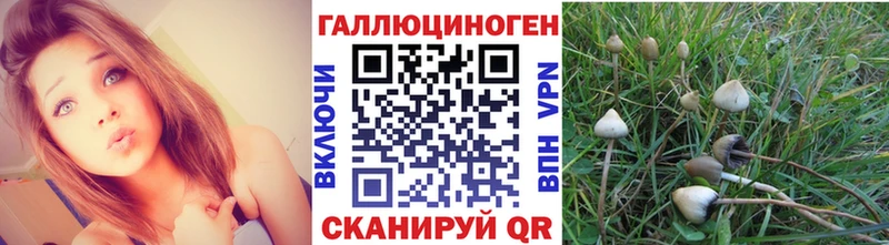 купить наркоту  Правдинск  Псилоцибиновые грибы ЛСД 